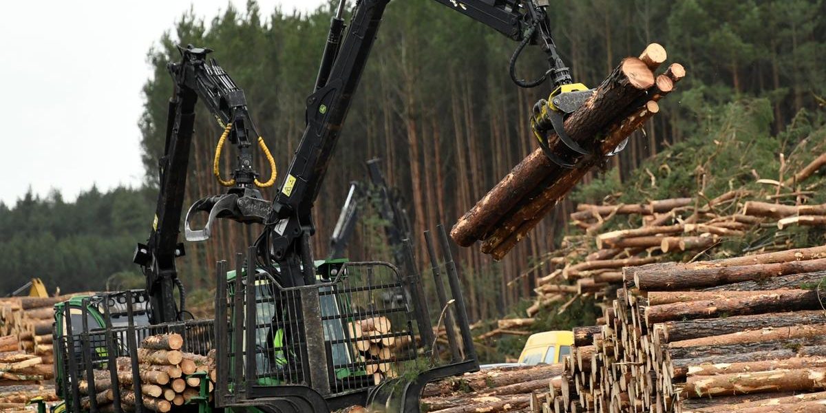 Tesla resumes tree cutting in Germany to build Gigafactory -