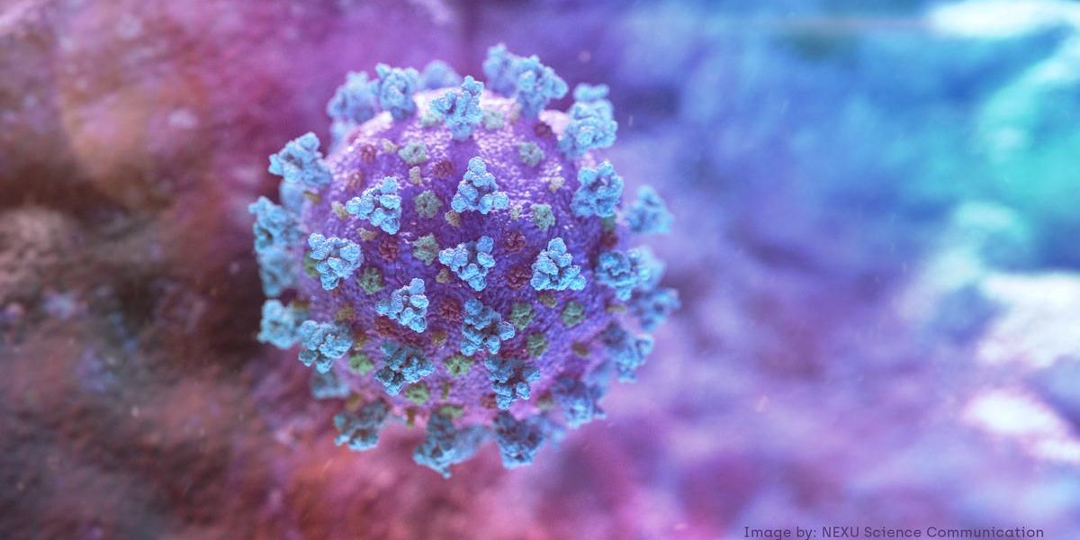 Explainer: What is contact tracing and how can it help