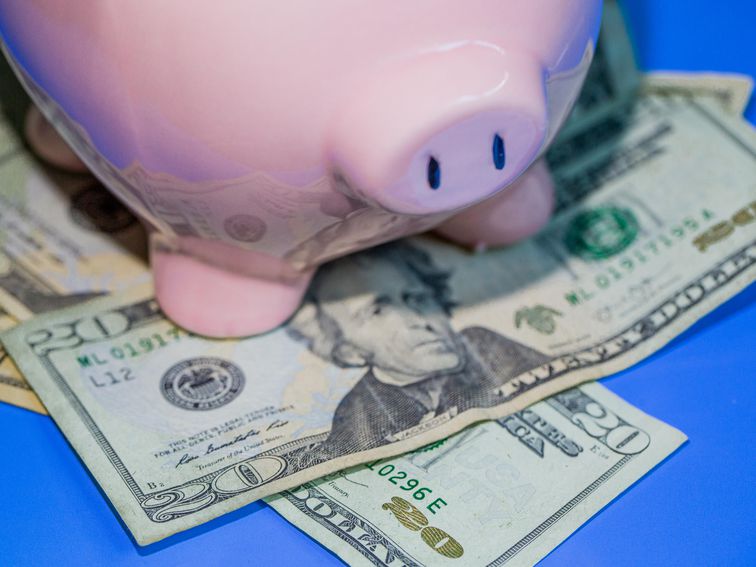dollars-money-bills-currency-piggy-bank-3.jpg