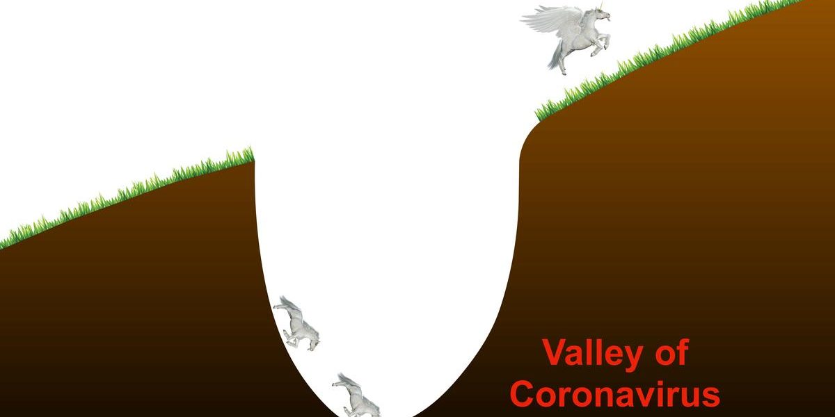 In SoftBank slides, tofu, a goose and unicorns underpin sales