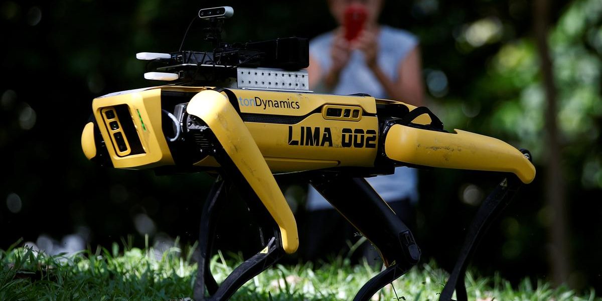 Roaming 'robodog' politely tells Singapore park goers to keep apart