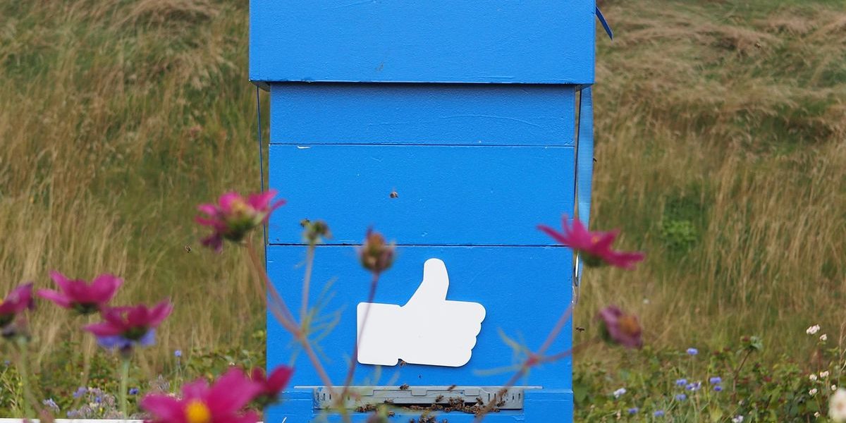 facebook-12.jpg