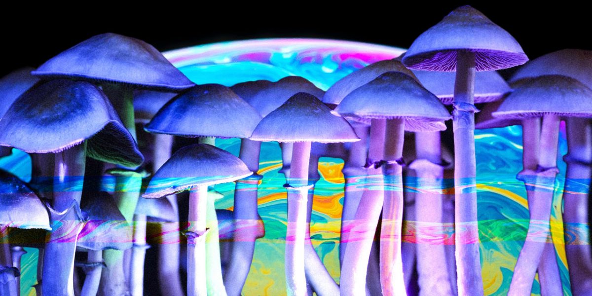 p-1-psychedelic-mushrooms-psilocybin-medicine-oregon-explainer.jpg