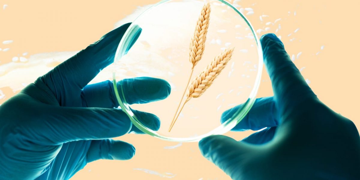 p-1-can-crispr-make-better-food.jpg