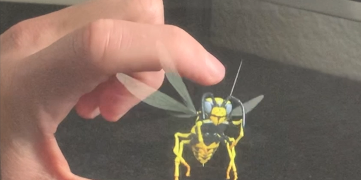 wasp-image.png