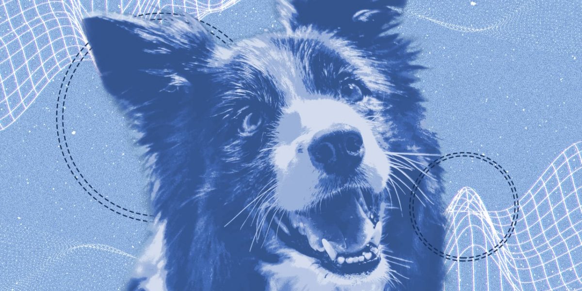 p-1-ai-train-dog-nvidia.jpg