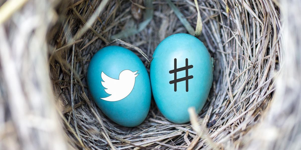 twitter-hashtag-blue-eggs-nest.jpg
