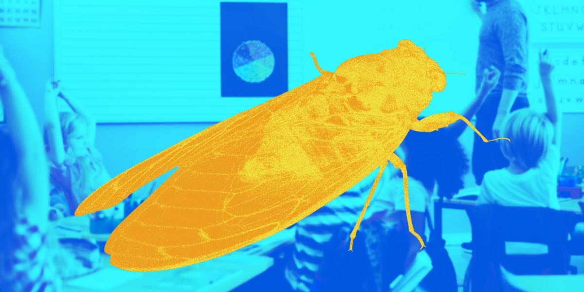 p-1-cicadas-covid-19-science-education-classroom-tech.jpg