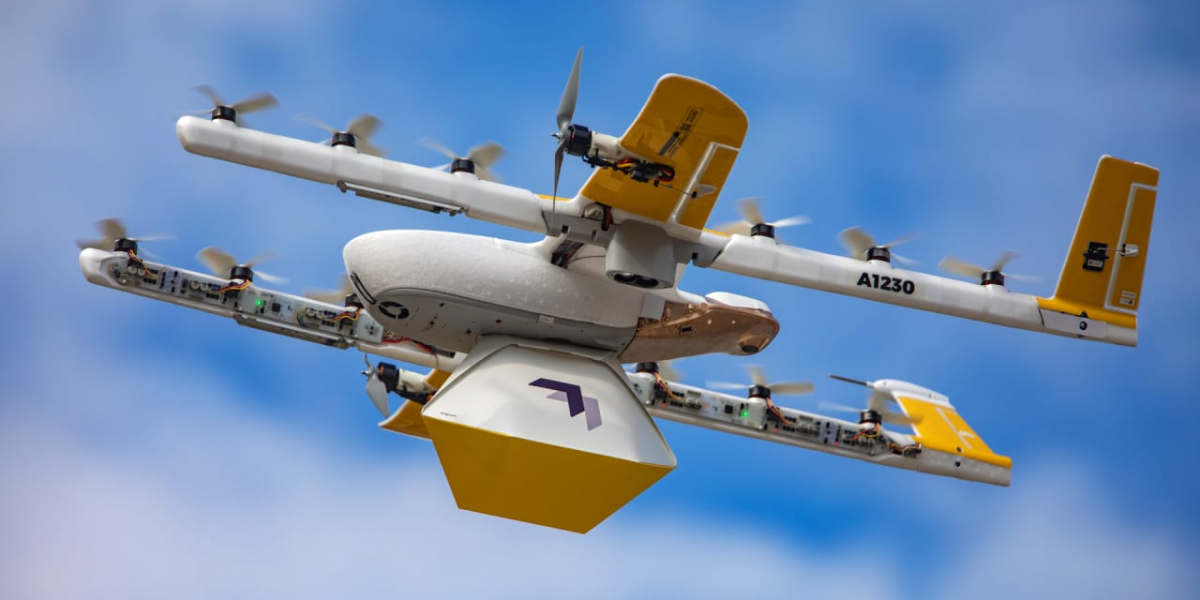 p-1-alphabet-wing-drones-chicken-delivery.png