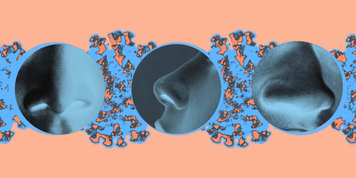 p-1-why-does-covid-make-us-lose-our-sense-of-smell.jpg
