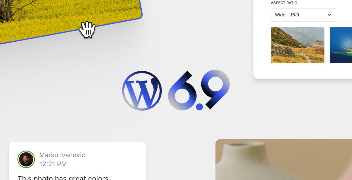wordpress-6.9-for-site-owners.jpg